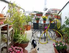 Appartement à vendre à Rome Pietralata