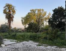 Foto Cometa 6 — Terrain constructible à vendre à Velletri