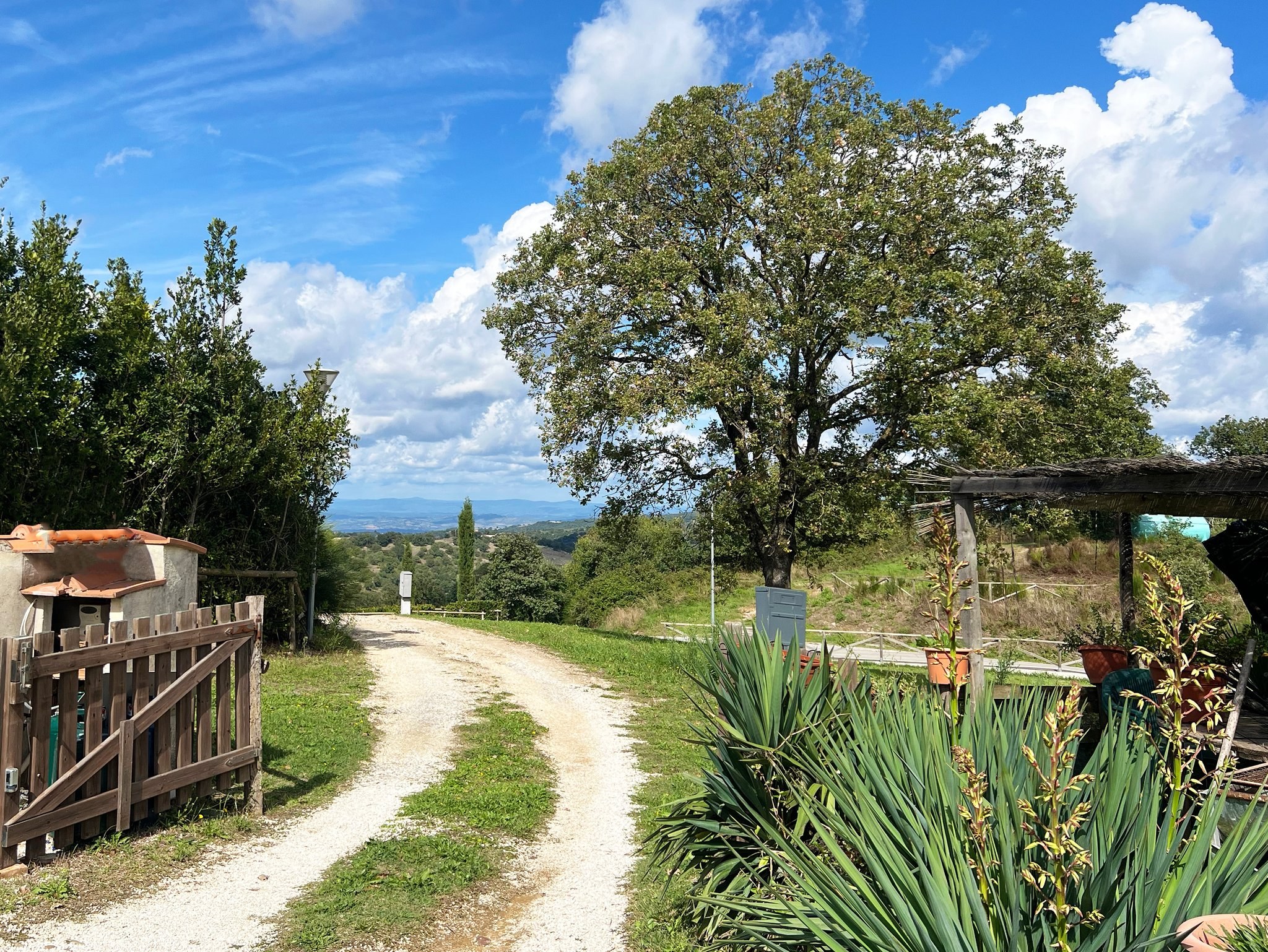 Villa à vendre à Scansano Scansano - Cantine Morellino