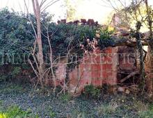 Bellissimo Casale Diruto Da Restaurare Immerso nel Verde delle Colline Pisane della Valdera