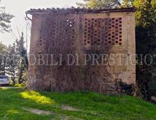 Bellissimo Casale Diruto Da Restaurare Immerso nel Verde delle Colline Pisane della Valdera