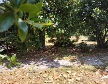 PUNTA DEL LAGO - Villa indipendente con grande parco privato