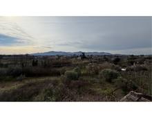 Foto Cometa 10 — Villa in vendita a Zagarolo