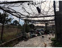 Foto Cometa 16 — Villa in vendita a Zagarolo