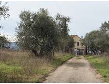 Foto Cometa 18 — Villa in vendita a Zagarolo