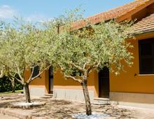 Tenuta di Livio. Abitare la Storia immersi nella Riserva Naturale della Marcigliana