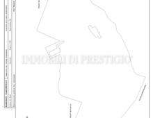Tenuta di Livio. Abitare la Storia immersi nella Riserva Naturale della Marcigliana