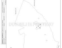Tenuta di Livio. Abitare la Storia immersi nella Riserva Naturale della Marcigliana