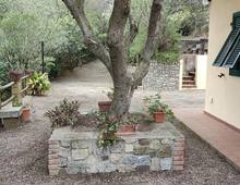 Casa indipendente in vendita a Porto Azzurro