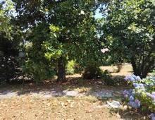 PUNTA DEL LAGO - Villa indipendente con grande parco privato
