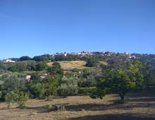 Foto Cometa 1 — Terreno agrícola à venda em Lanúvio