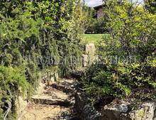 Moradia à venda em Scansano Scansano - Cantine Morellino
