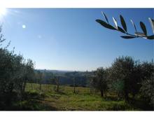 Foto Cometa 45 — Квартира — продажа, Lanuvio, Colle Cavaliere