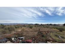 Foto Cometa 9 — Villa o Villetta Zagarolo
