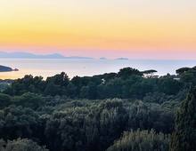 Splendida ed Esclusiva Proprietà Incastonata nella Dolce Collina di Punta Ala