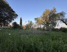 Foto Cometa 7 — Terreno edificabile Velletri
