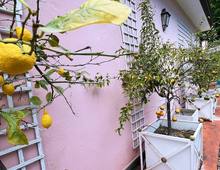 Villa Matilda. Bellissima Dimora Unifamiliare