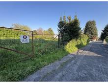 Foto Cometa 3 — Villa o Villetta Velletri