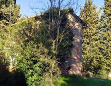 Bellissimo Casale Diruto Da Restaurare Immerso nel Verde delle Colline Pisane della Valdera