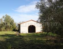 Splendido Casale Da Ultimare Immerso nel Verde delle Colline Pisane della Valdera