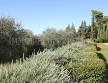 Splendido Casale Finemente Arredato Immerso nel Verde delle Colline Pisane della Valdera