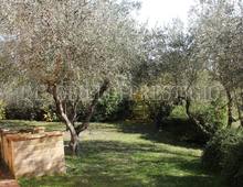 Splendido Casale Finemente Arredato Immerso nel Verde delle Colline Pisane della Valdera