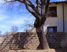 SCANSANO, Maremma Toscana, Poggio Le Valentine