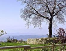 SCANSANO, Maremma Toscana, Poggio Le Valentine